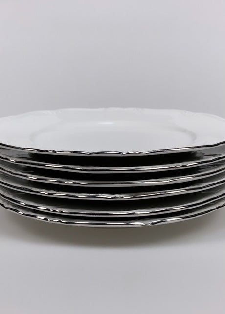 Set of 6 vintage plates with silver-colored trim